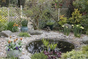 Spring pebble garden_ZiaAllaway_lowres0606-3